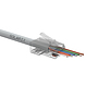 Product EASY plug Solarix RJ45 CAT6 UTP for solid and stranded wires SXRJ45-6-UTP-EASY - Solarix - Plugs